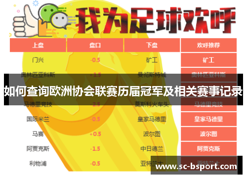 如何查询欧洲协会联赛历届冠军及相关赛事记录