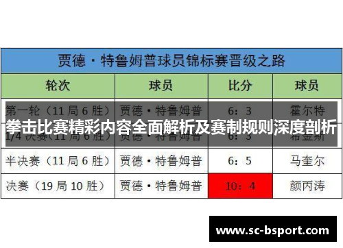 拳击比赛精彩内容全面解析及赛制规则深度剖析