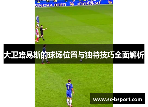 大卫路易斯的球场位置与独特技巧全面解析