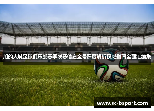 加的夫城足球俱乐部赛季联赛信息全景深度解析权威指南全面汇编集