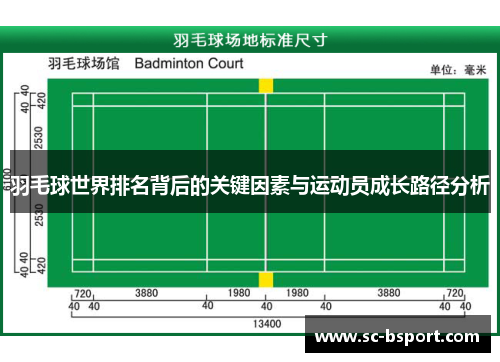 羽毛球世界排名背后的关键因素与运动员成长路径分析