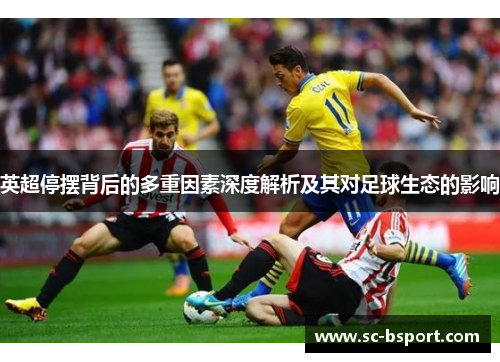 英超停摆背后的多重因素深度解析及其对足球生态的影响