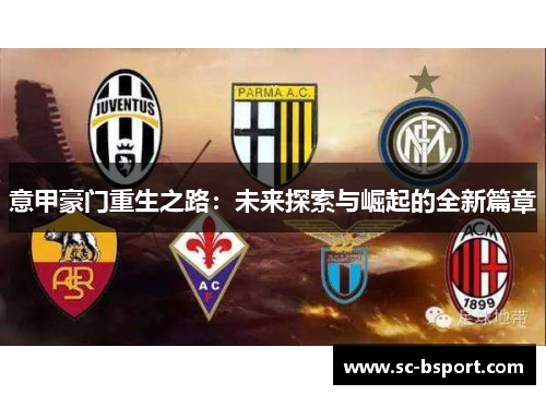意甲豪门重生之路：未来探索与崛起的全新篇章