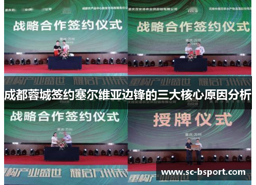 成都蓉城签约塞尔维亚边锋的三大核心原因分析