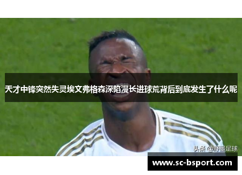 天才中锋突然失灵埃文弗格森深陷漫长进球荒背后到底发生了什么呢