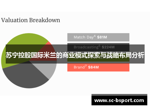 苏宁控股国际米兰的商业模式探索与战略布局分析